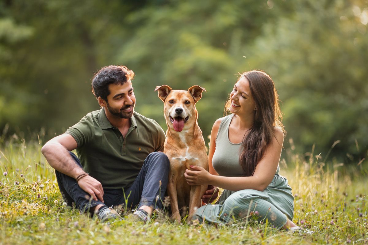 Alice-Boxer-Schäferhund-Mischling-Mix-Würzburg-Hundefotograf-Tierfotografie-Tierschutz-Tierschutzhund (1)