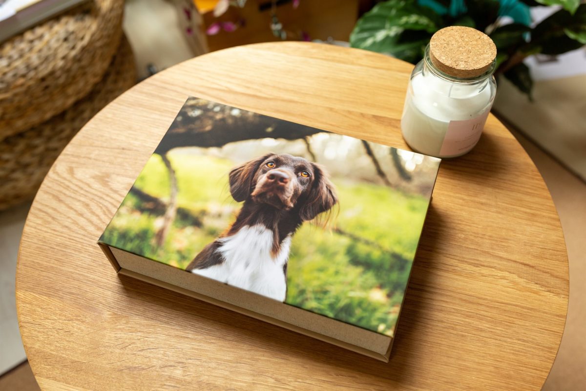 Box für Fotos Hunde