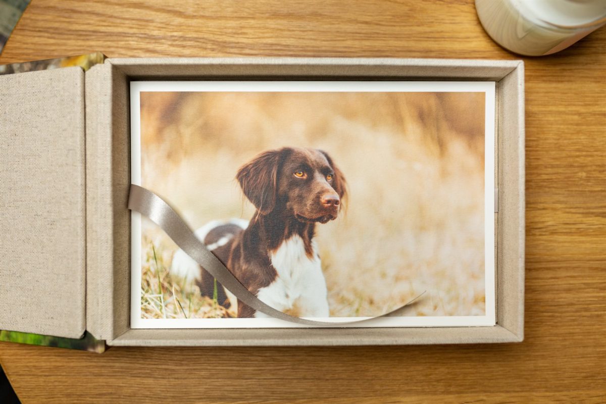 Box für Fotos Hunde