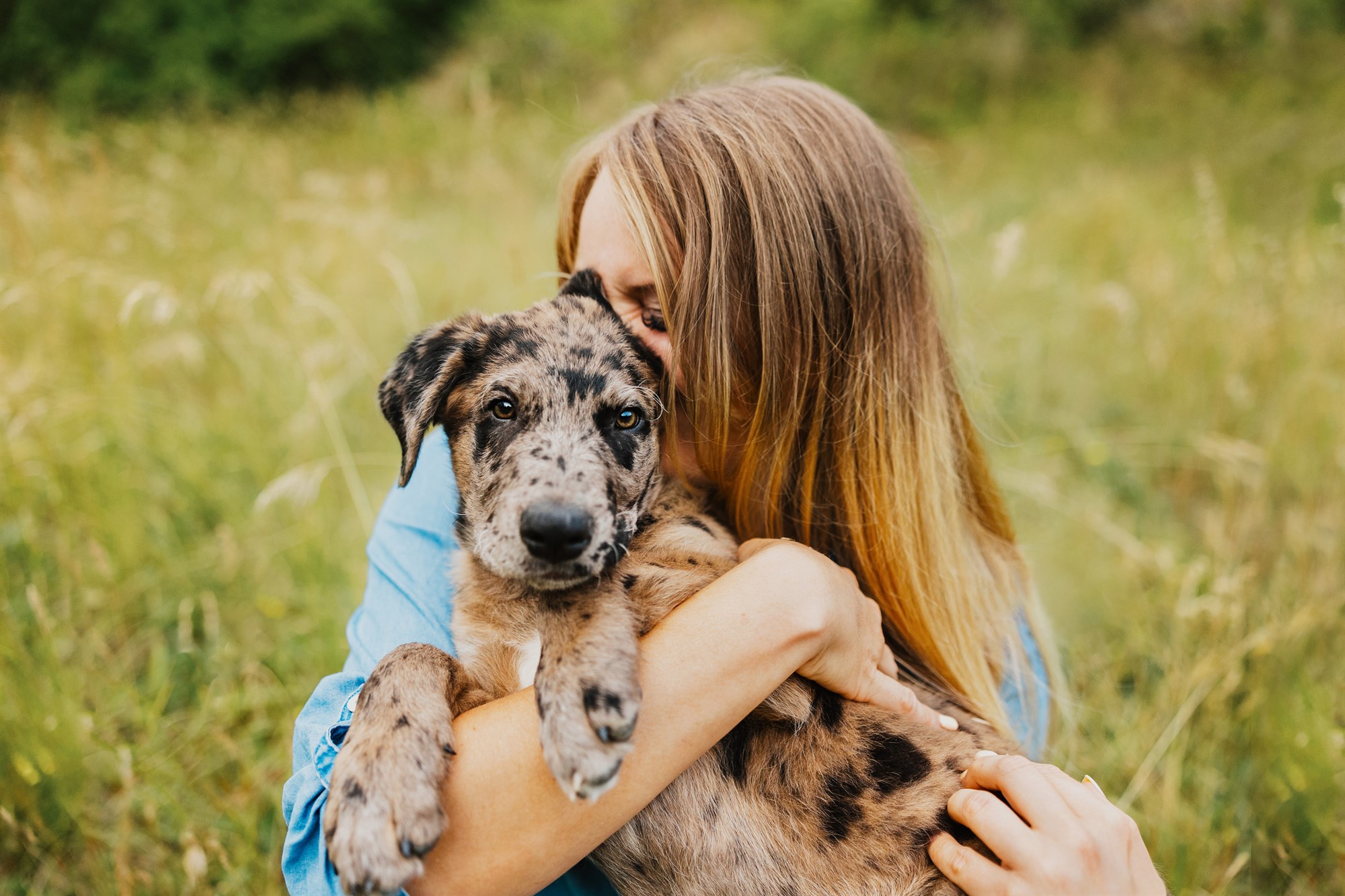 Milo-Husky-Malamute-Würzburg-Bamberg-Hundefotografie-Hundefotograf-Tierfotograf-Welpe-Fotoshooting (3)