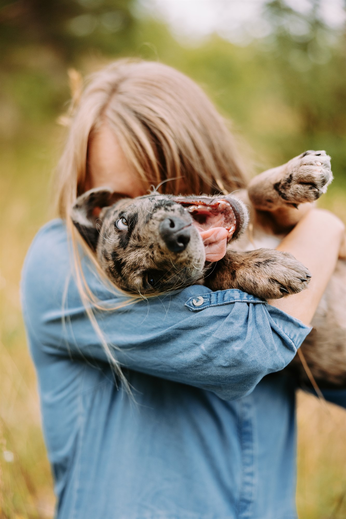 Milo-Husky-Malamute-Würzburg-Bamberg-Hundefotografie-Hundefotograf-Tierfotograf-Welpe-Fotoshooting (3)