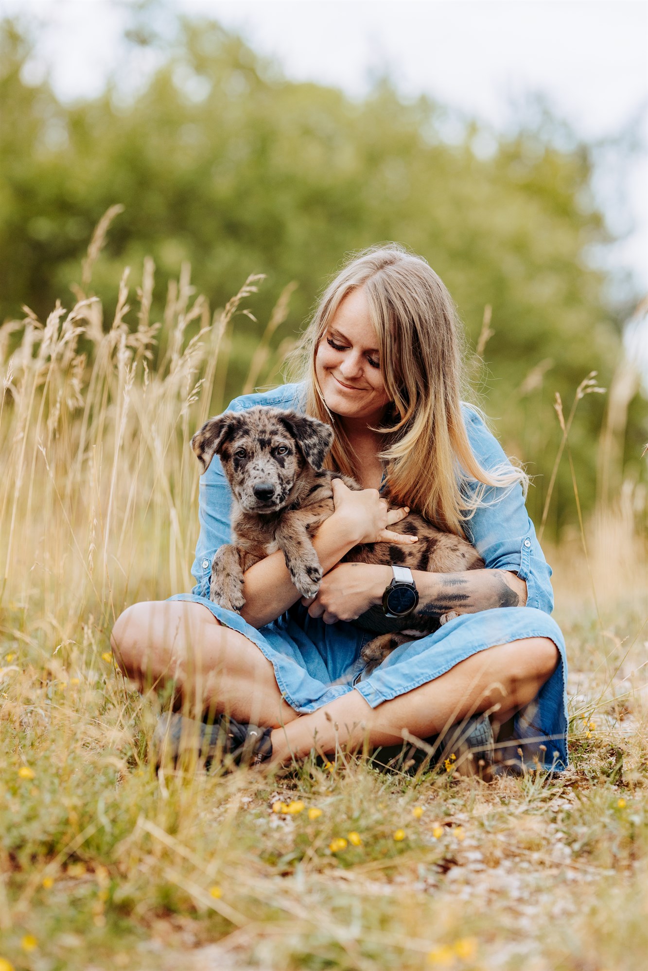 Milo-Husky-Malamute-Würzburg-Bamberg-Hundefotografie-Hundefotograf-Tierfotograf-Welpe-Fotoshooting (3)