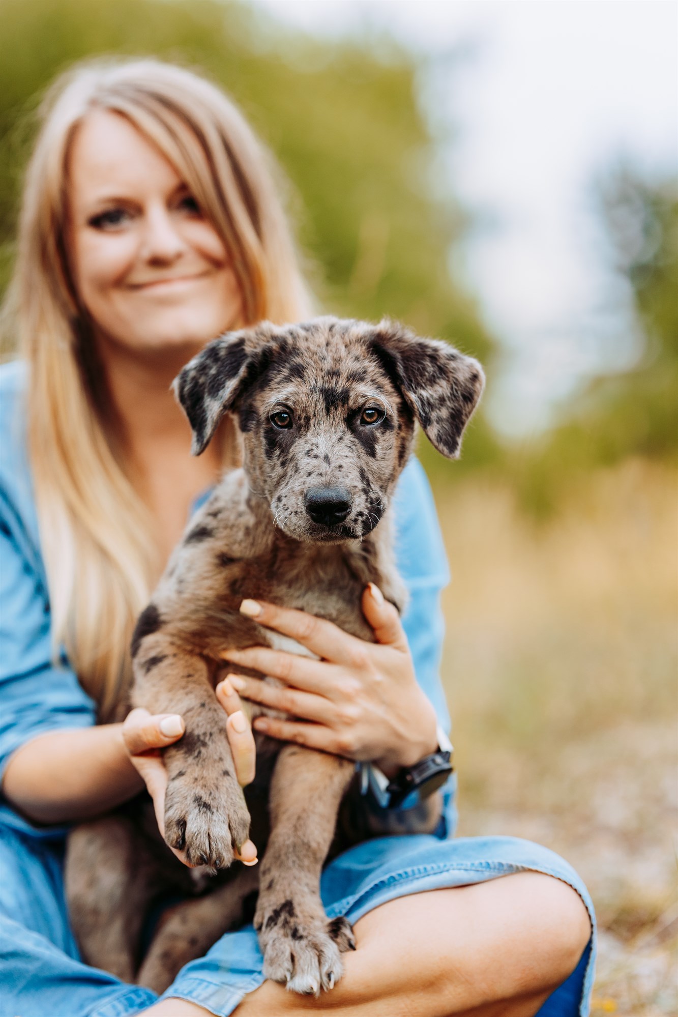 Milo-Husky-Malamute-Würzburg-Bamberg-Hundefotografie-Hundefotograf-Tierfotograf-Welpe-Fotoshooting (3)