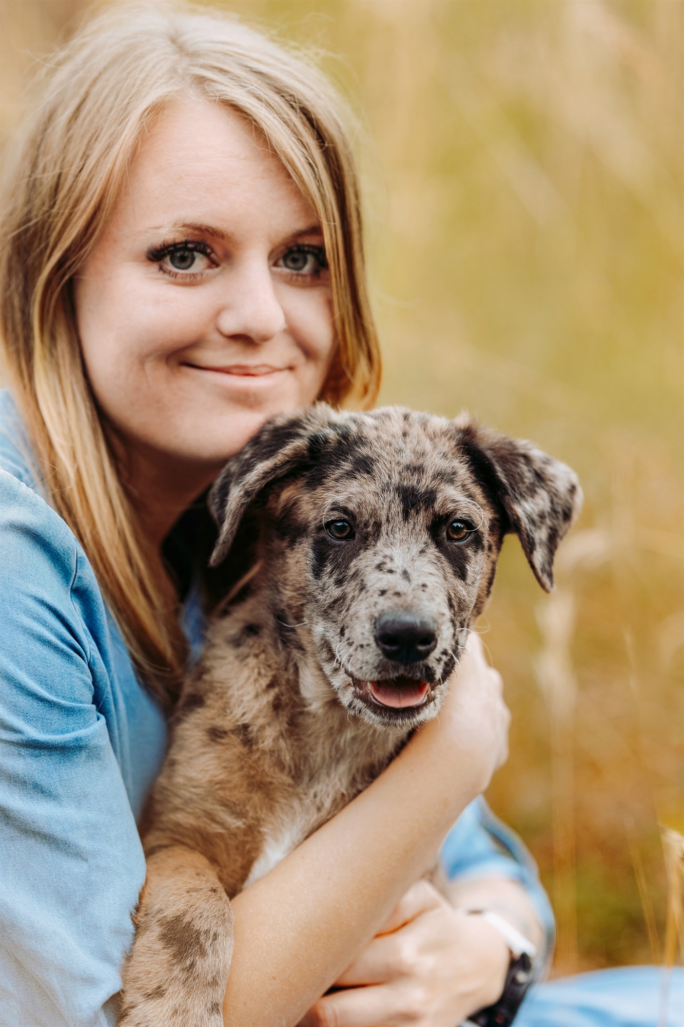 Milo-Husky-Malamute-Würzburg-Bamberg-Hundefotografie-Hundefotograf-Tierfotograf-Welpe-Fotoshooting (3)