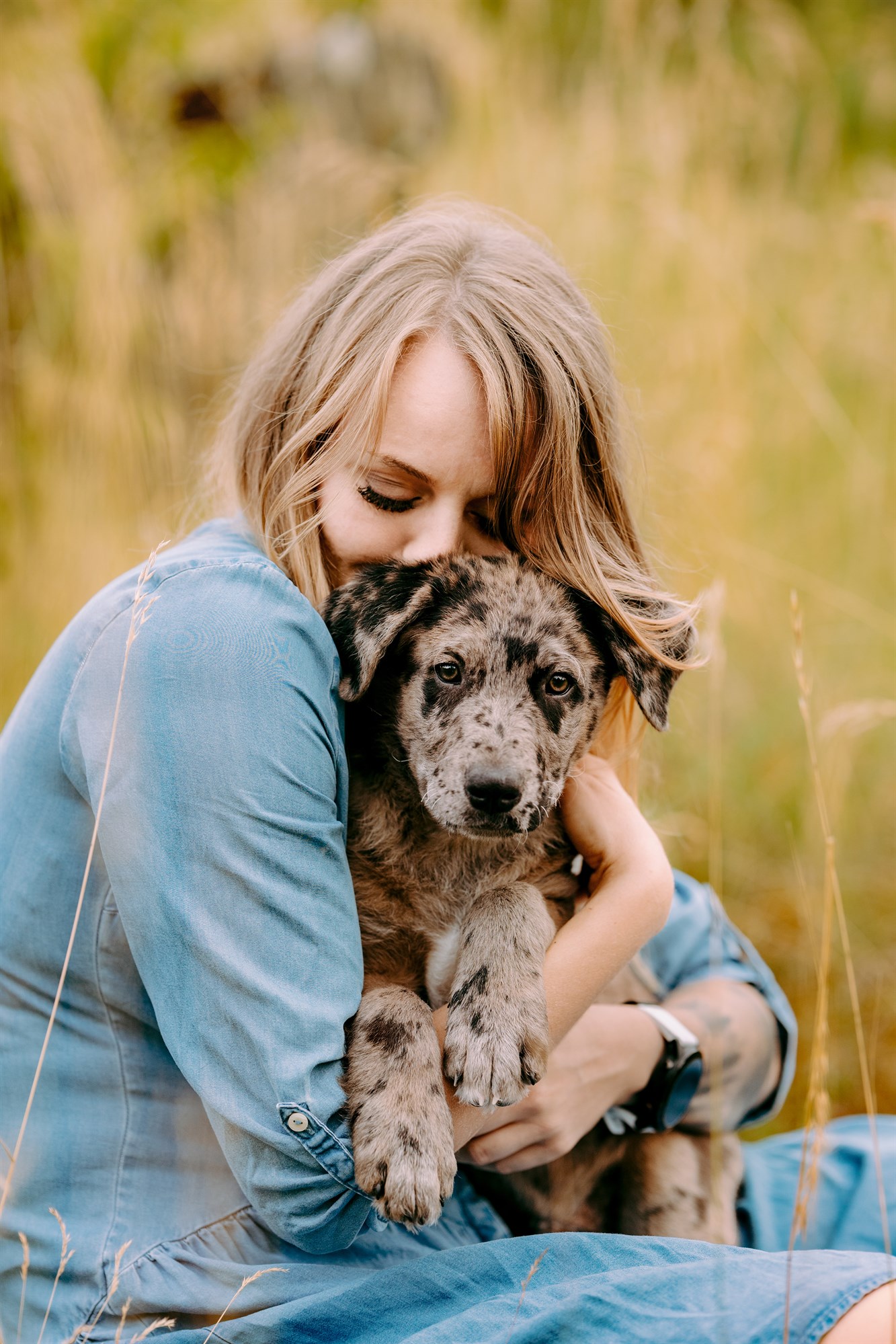 Milo-Husky-Malamute-Würzburg-Bamberg-Hundefotografie-Hundefotograf-Tierfotograf-Welpe-Fotoshooting (3)