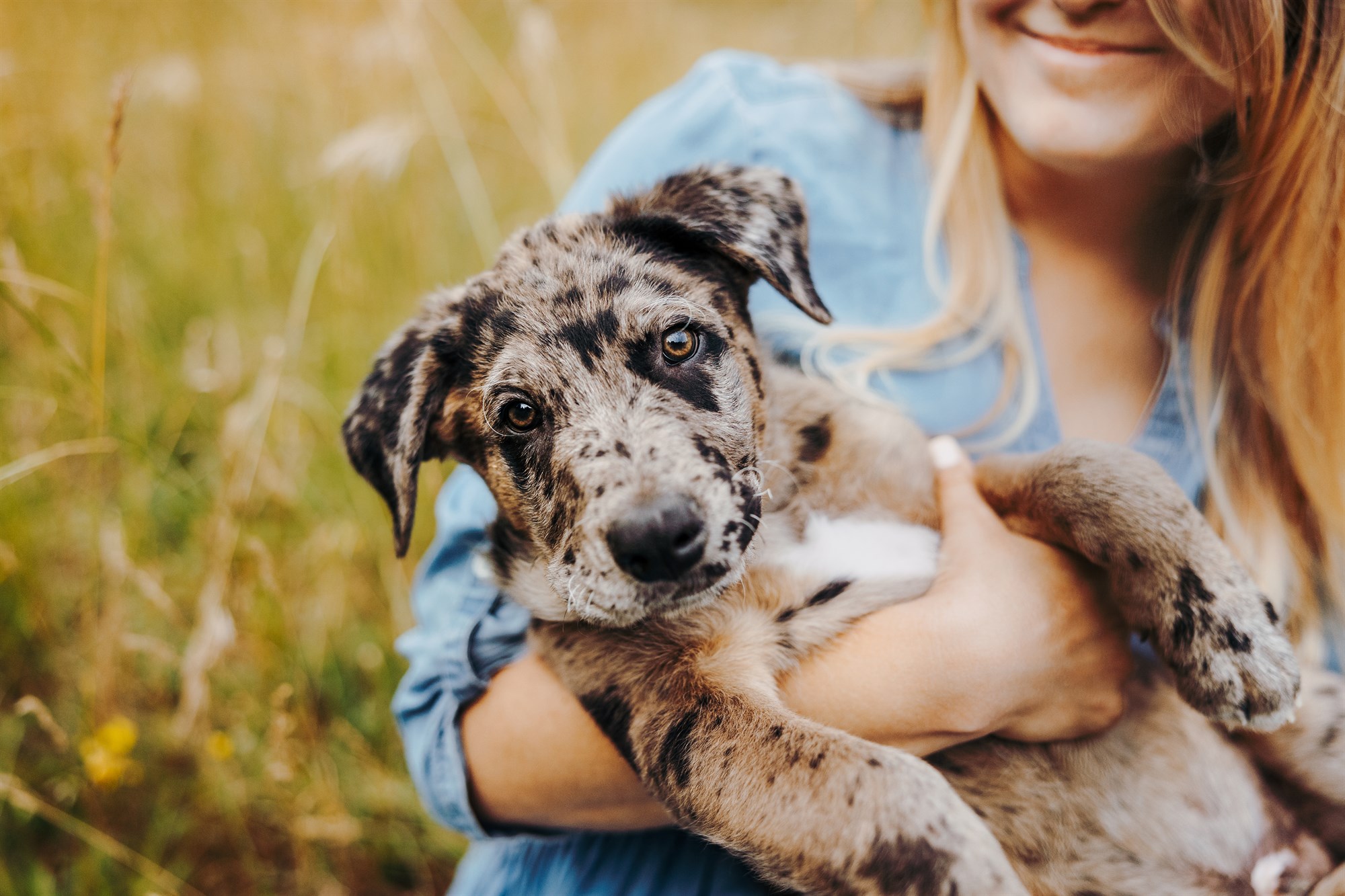 Milo-Husky-Malamute-Würzburg-Bamberg-Hundefotografie-Hundefotograf-Tierfotograf-Welpe-Fotoshooting (3)