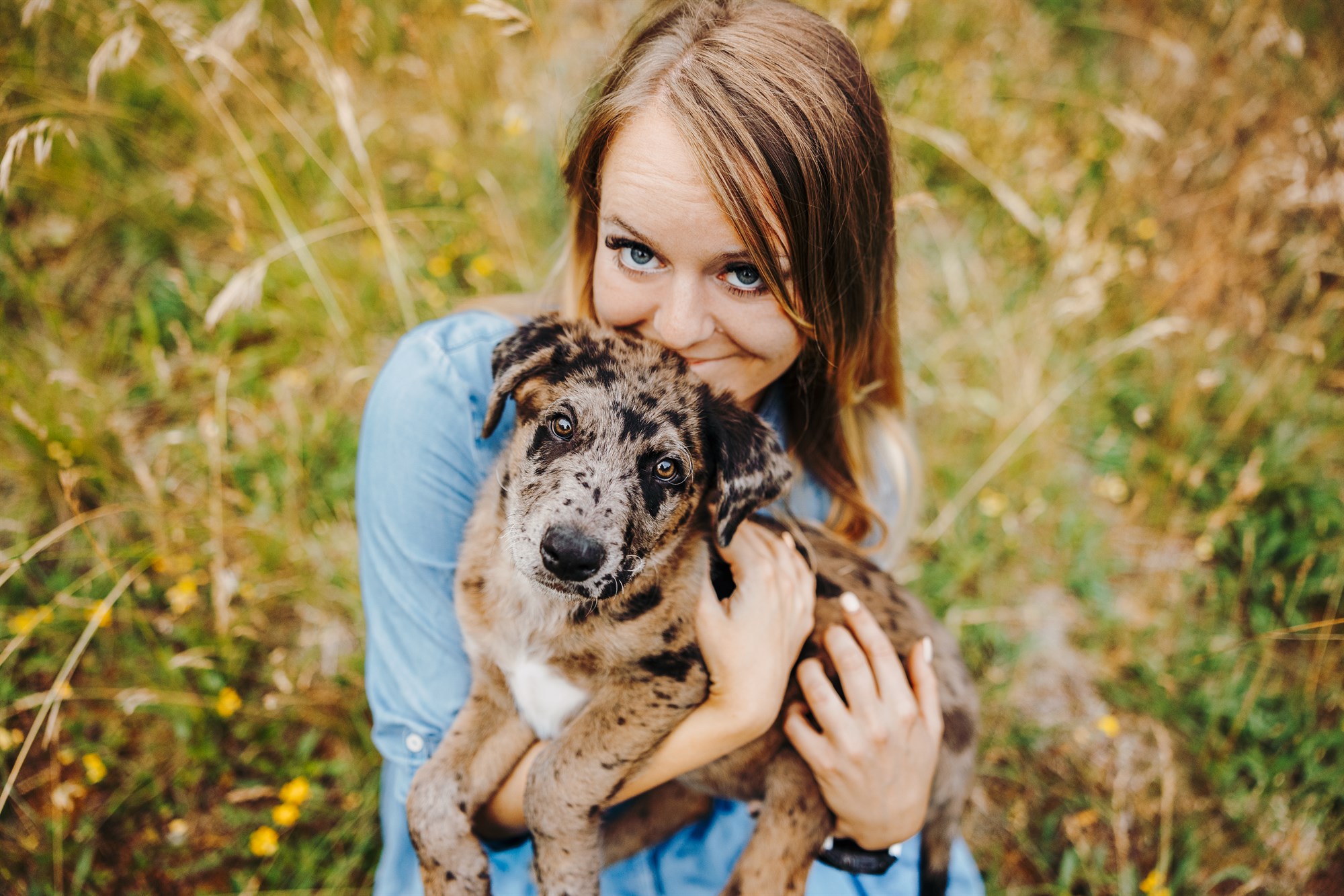 Milo-Husky-Malamute-Würzburg-Bamberg-Hundefotografie-Hundefotograf-Tierfotograf-Welpe-Fotoshooting (2)