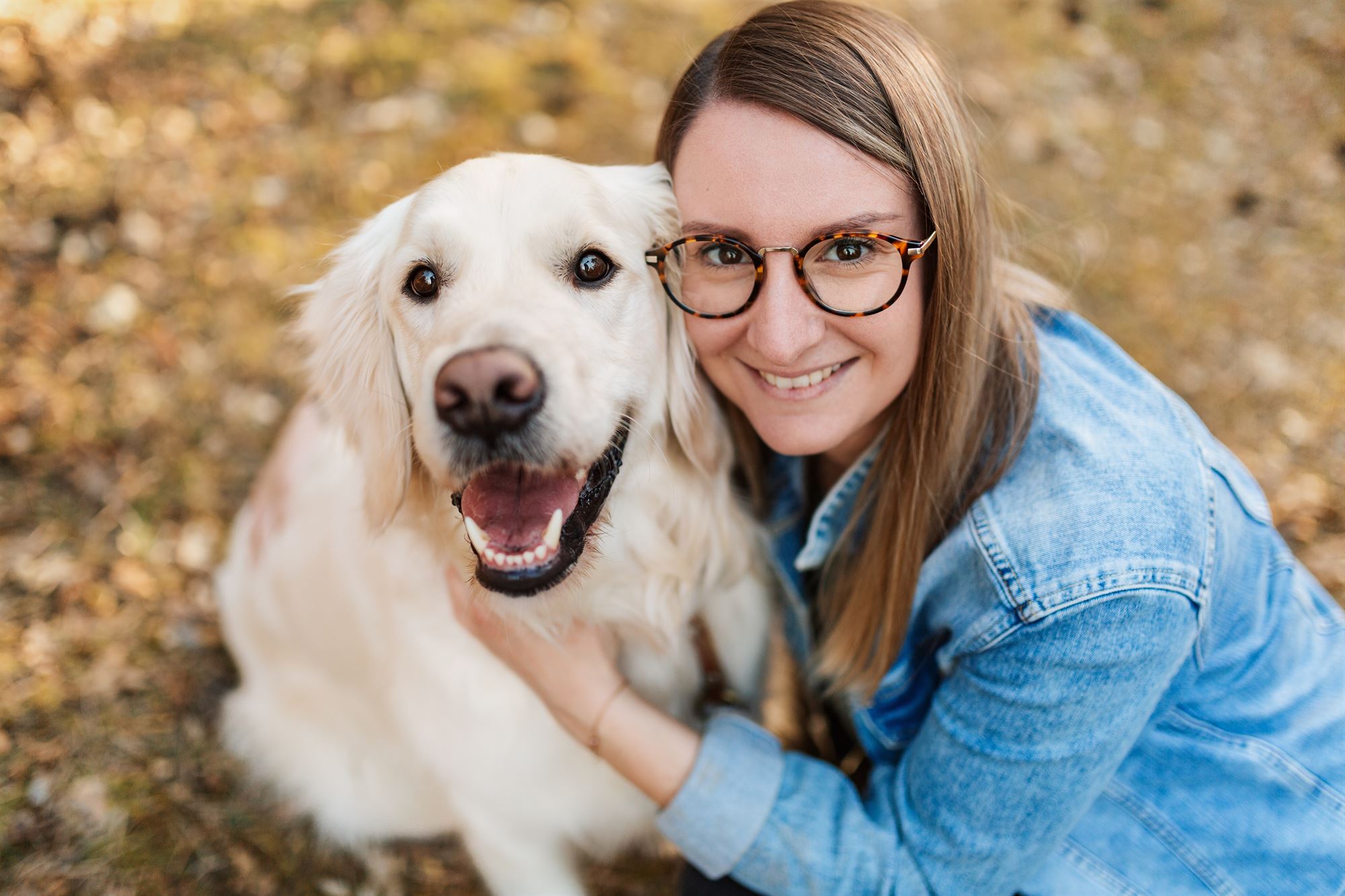 golden-retriever-würzburg-nürnberg-erlangen-bamberg-fotoshooting