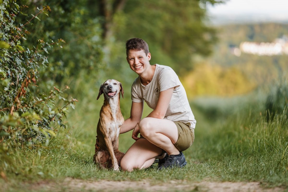 Segugio Maremmano Dreibein Portrait Hunde Fotoshooting Tierschutzhund Tierfotograf Segugio Maremmano Dreibein Portrait Hunde Fotoshooting Tierschutzhund Tierfotograf