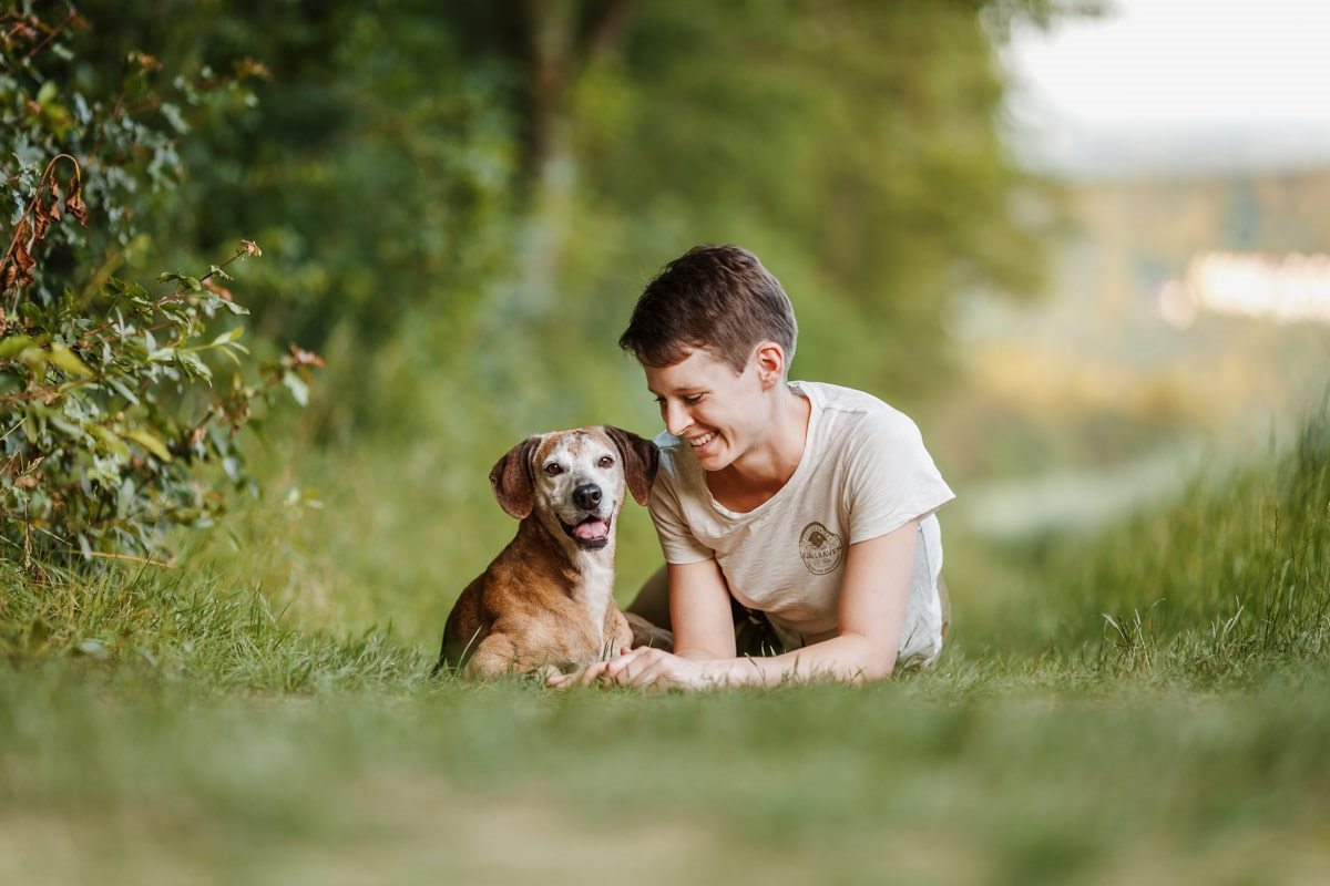 Segugio Maremmano Dreibein Portrait Hunde Fotoshooting Tierschutzhund Tierfotograf