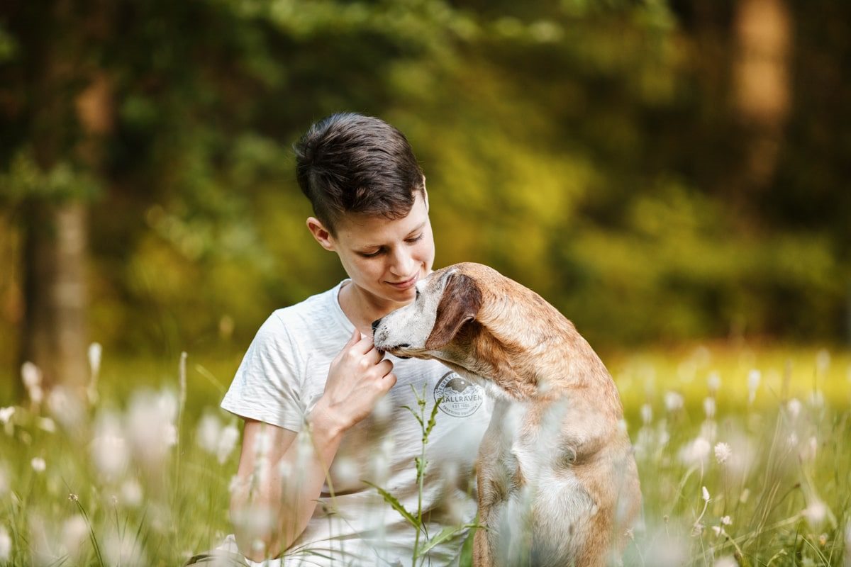 Segugio Maremmano Dreibein Portrait Hunde Fotoshooting Tierschutzhund Tierfotograf