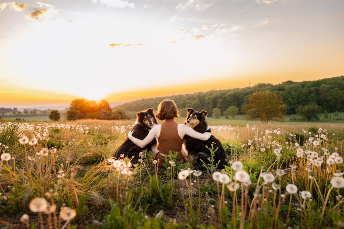 Hunde Fotoshooting Wuerzburg golden retriever merlin Fotowanderung Urlaub mit Hund Main Spessart Rhön Unterfranken Franken Fotowanderung Fotoshooting mit Hund und Mensch