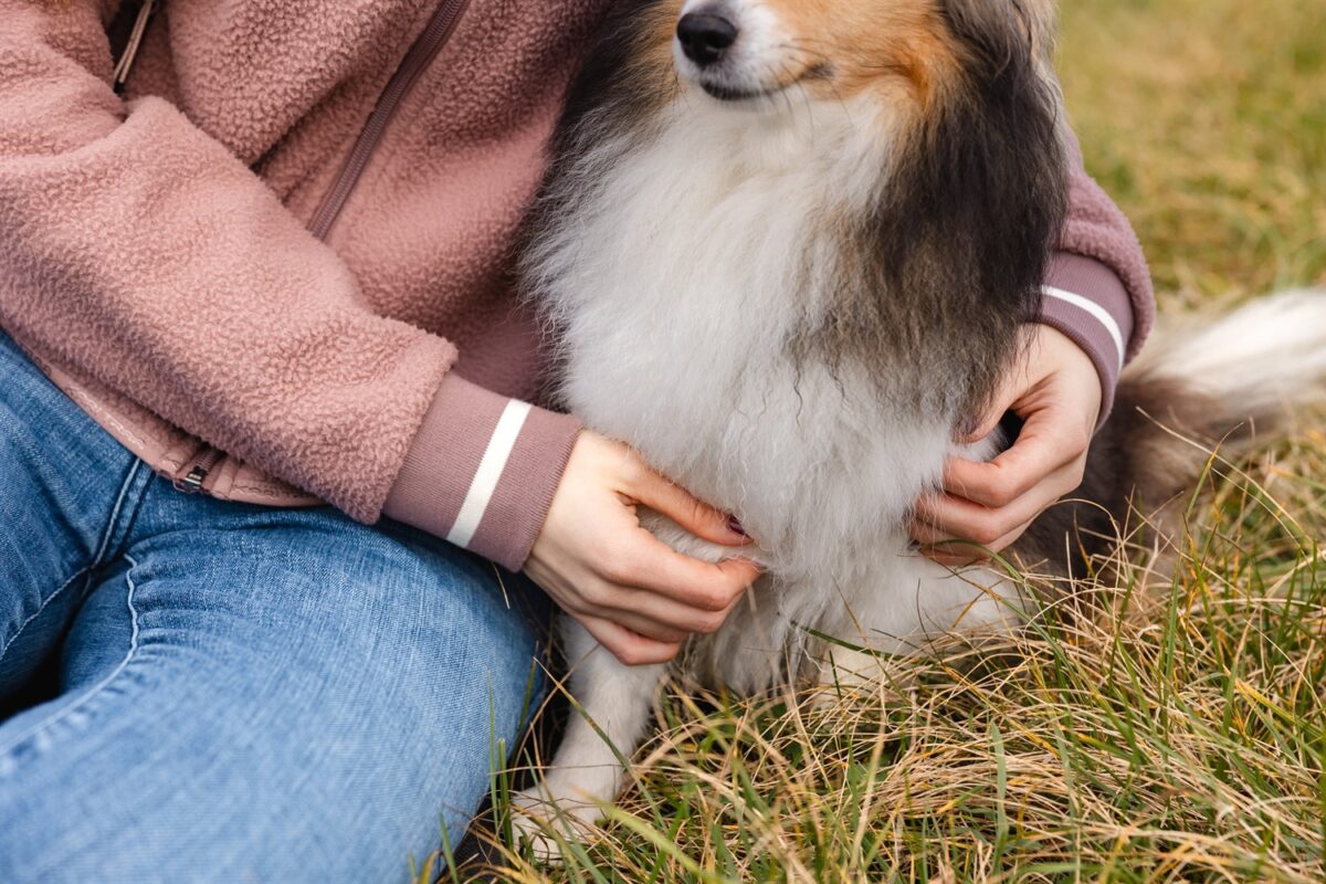 Hunde Fotoshooting Wuerzburg rhoen wasserkuppe kreuzberg urlaub mit hund rhön Wanderung mit Hund Fotowanderung