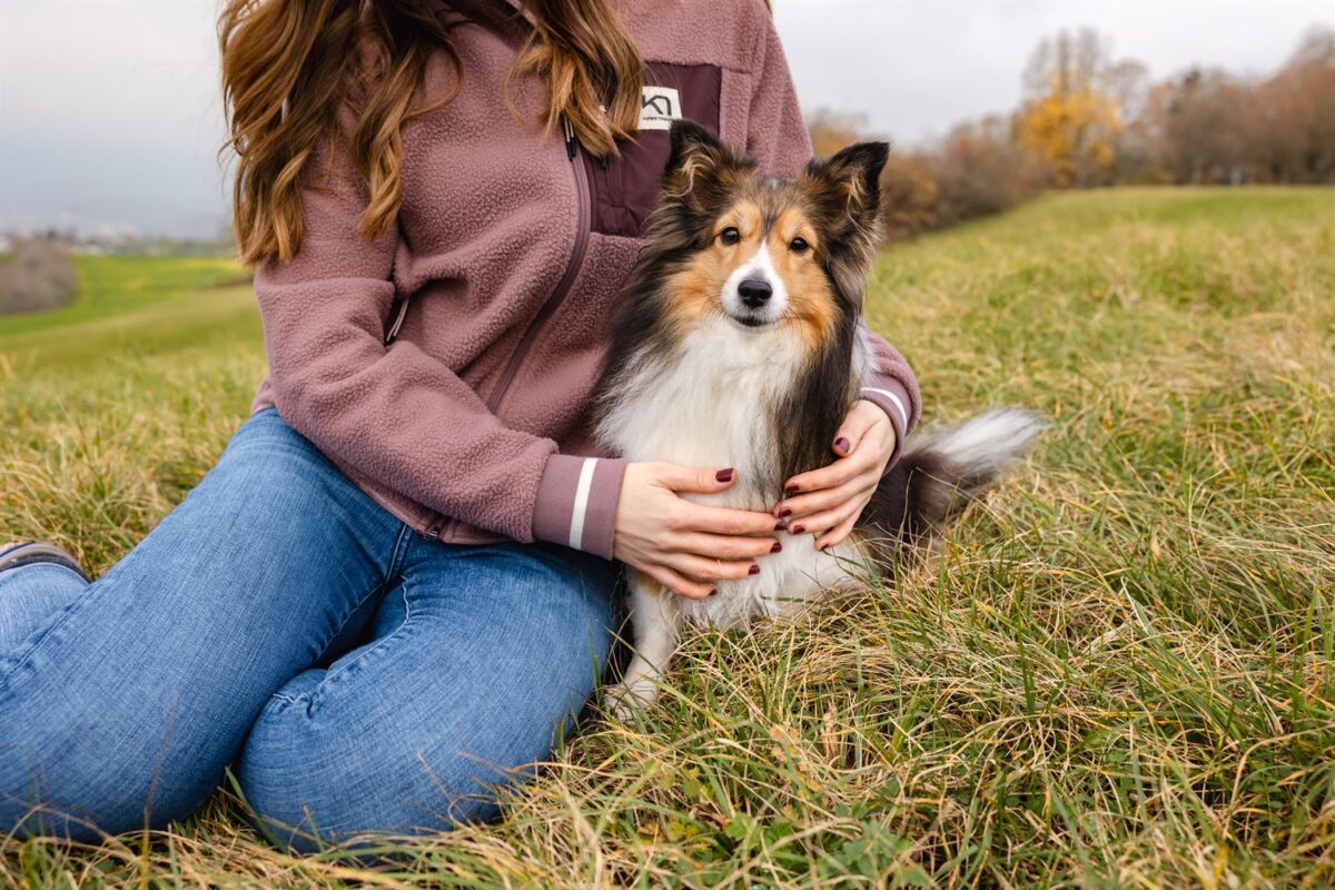 Hunde Fotoshooting Wuerzburg rhoen wasserkuppe kreuzberg urlaub mit hund rhön Wanderung mit Hund Fotowanderung