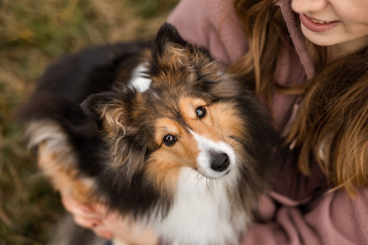 Hunde Fotoshooting Wuerzburg rhoen wasserkuppe kreuzberg urlaub mit hund rhön Wanderung mit Hund Fotowanderung