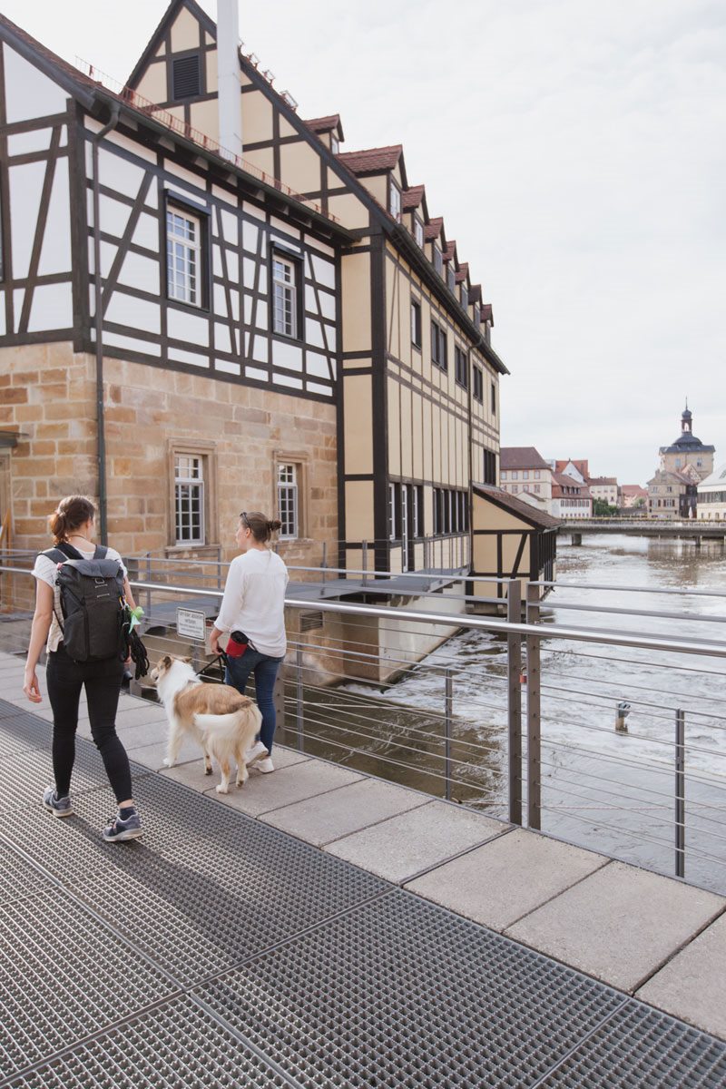 Hundefotoshooting-Hunde-Fotograf-Bamberg-Würzburg-Tierfotograf-Tierfotografie (6)