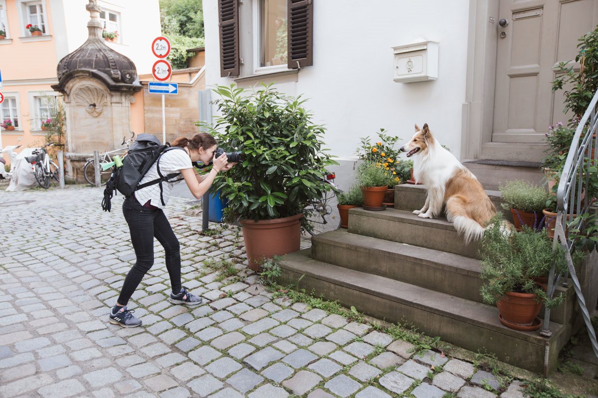 Hundefotoshooting-Hunde-Fotograf-Bamberg-Würzburg-Tierfotograf-Tierfotografie (6)
