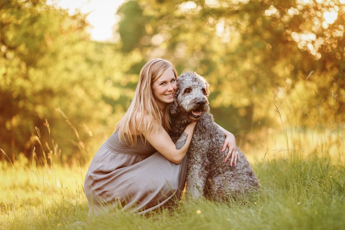 Labradoodle-Würzburg-Ben-Tierfotografie-Hunde-Fotoshooting