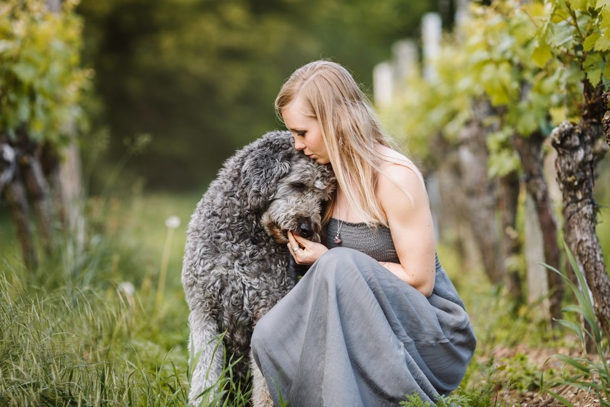 Labradoodle-Würzburg-Ben-Tierfotografie-Hunde-Fotoshooting