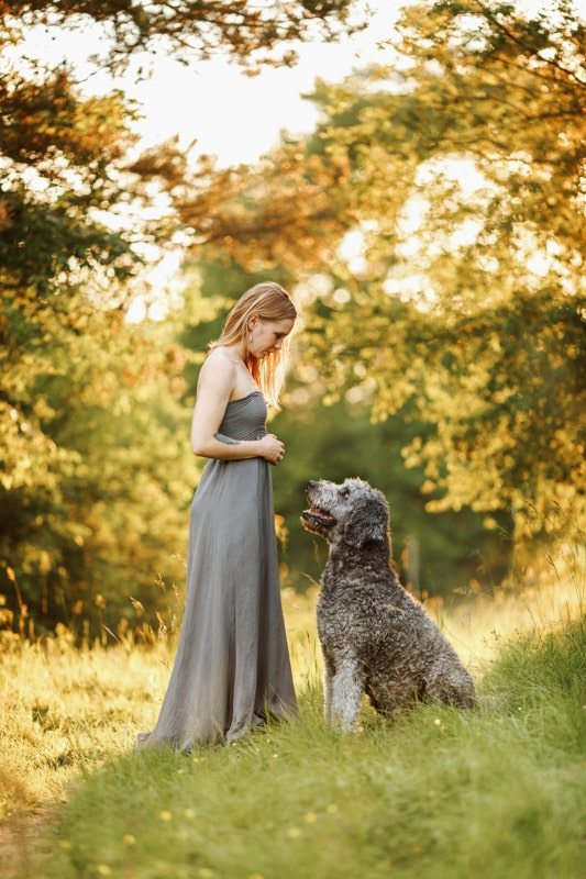 Labradoodle-Würzburg-Ben-Tierfotografie-Hunde-Fotoshooting