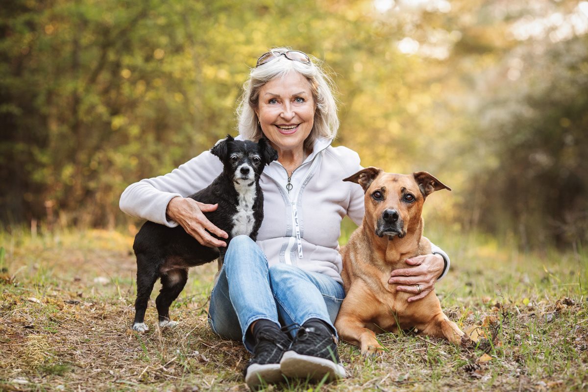 Spanischer Straßenhund Tierschutzhund Hundefotografie Tierfotograf Fotoshooting