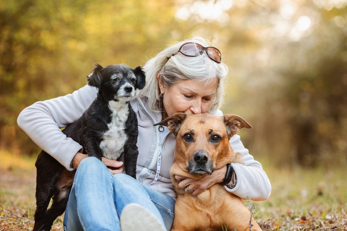 Spanischer Straßenhund Tierschutzhund Hundefotografie Tierfotograf Fotoshooting
