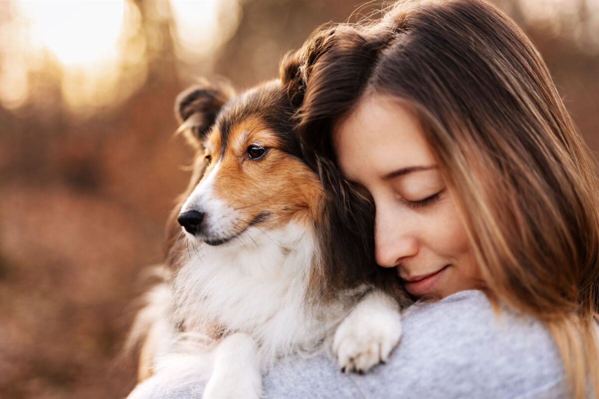 Shetland-Sheepdog-Hund-und-Mensch-Fotoshooting-in-Würzburg-YIART-Hundefotografie