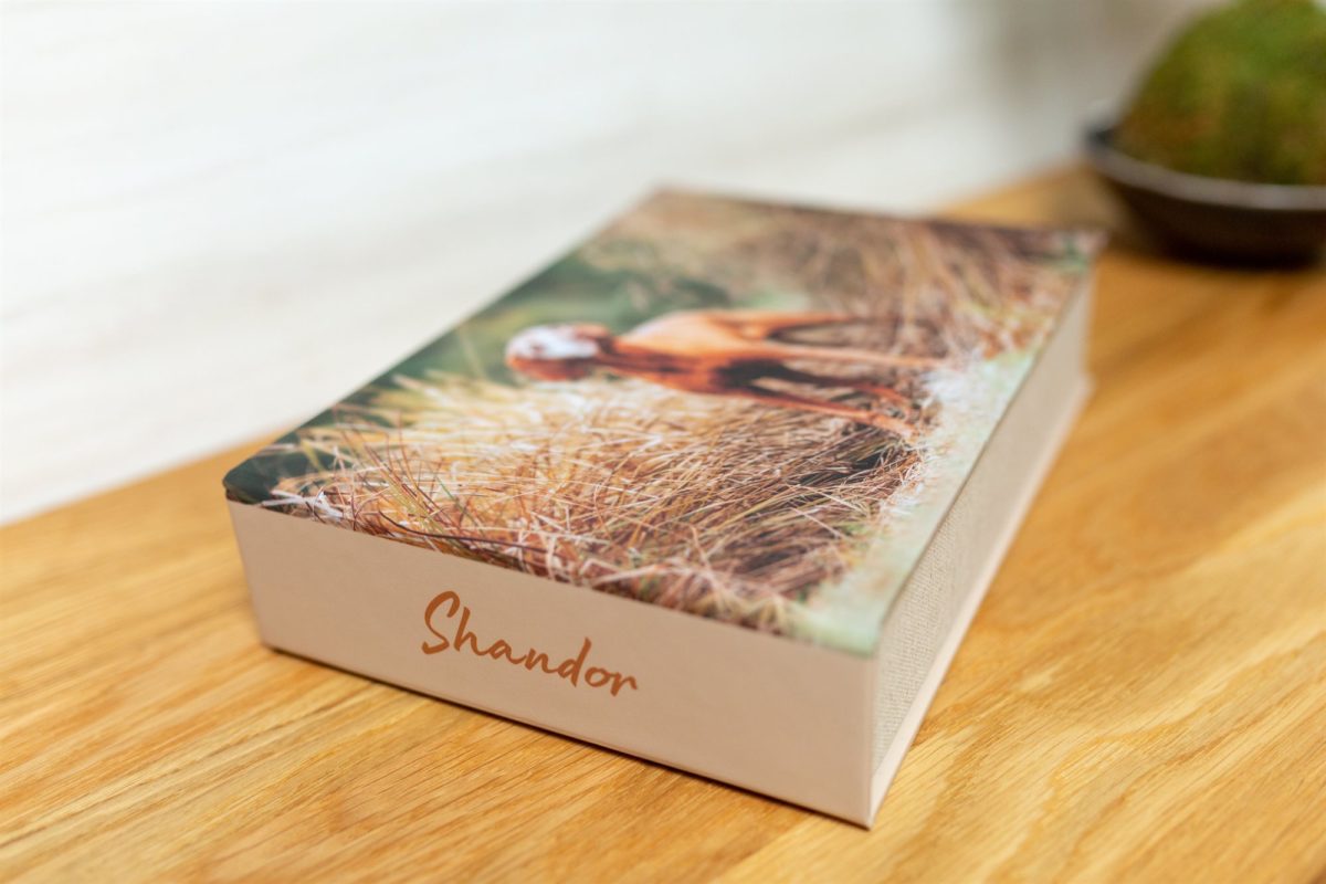 Vizsla Fotoshooting Box