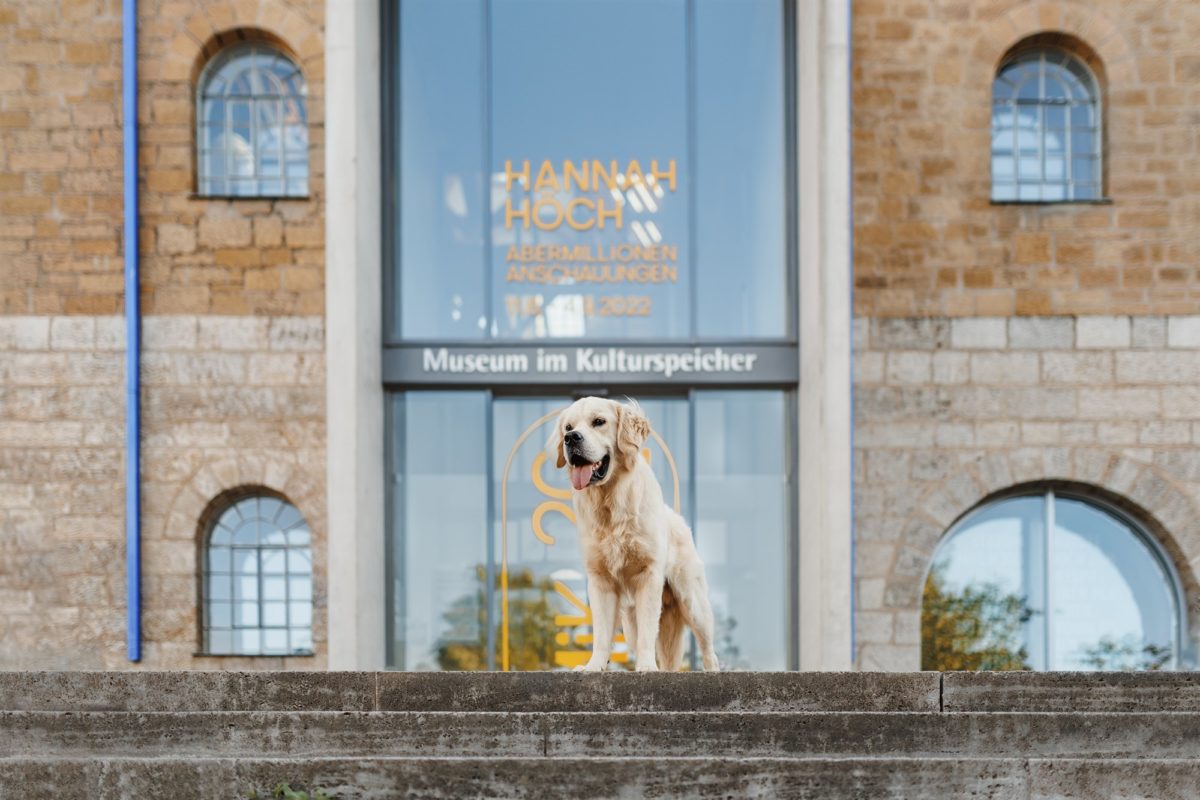 Würzburg-Hunde-Kalender-Tierheim-2023-Tierschutz-golden-retriever