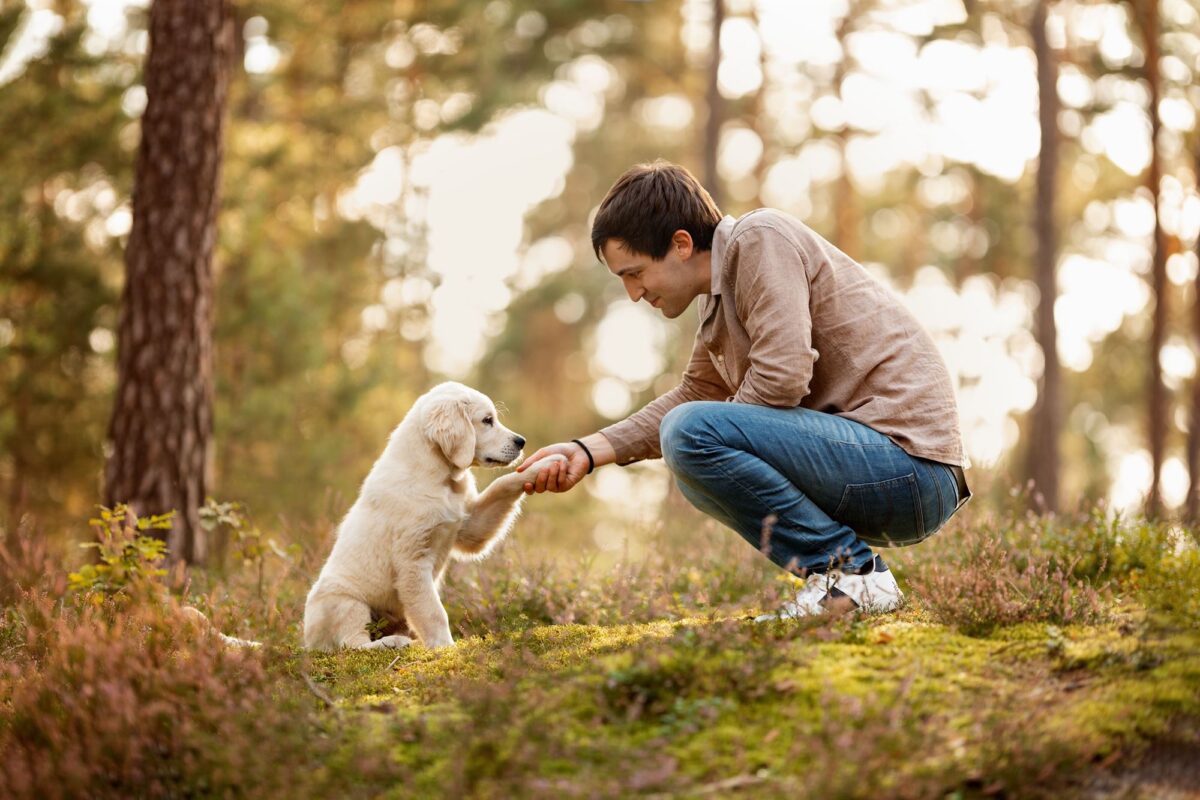 Fotoshooting-mit-Hund-und-Mensch-Golden-Retiever