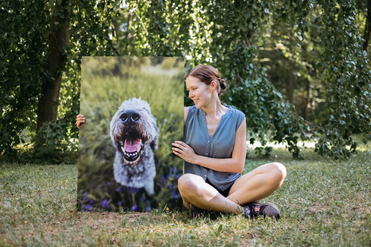 Tierfotografie-Würzburg-Bamberg-Nürnberg-Fotoshooting