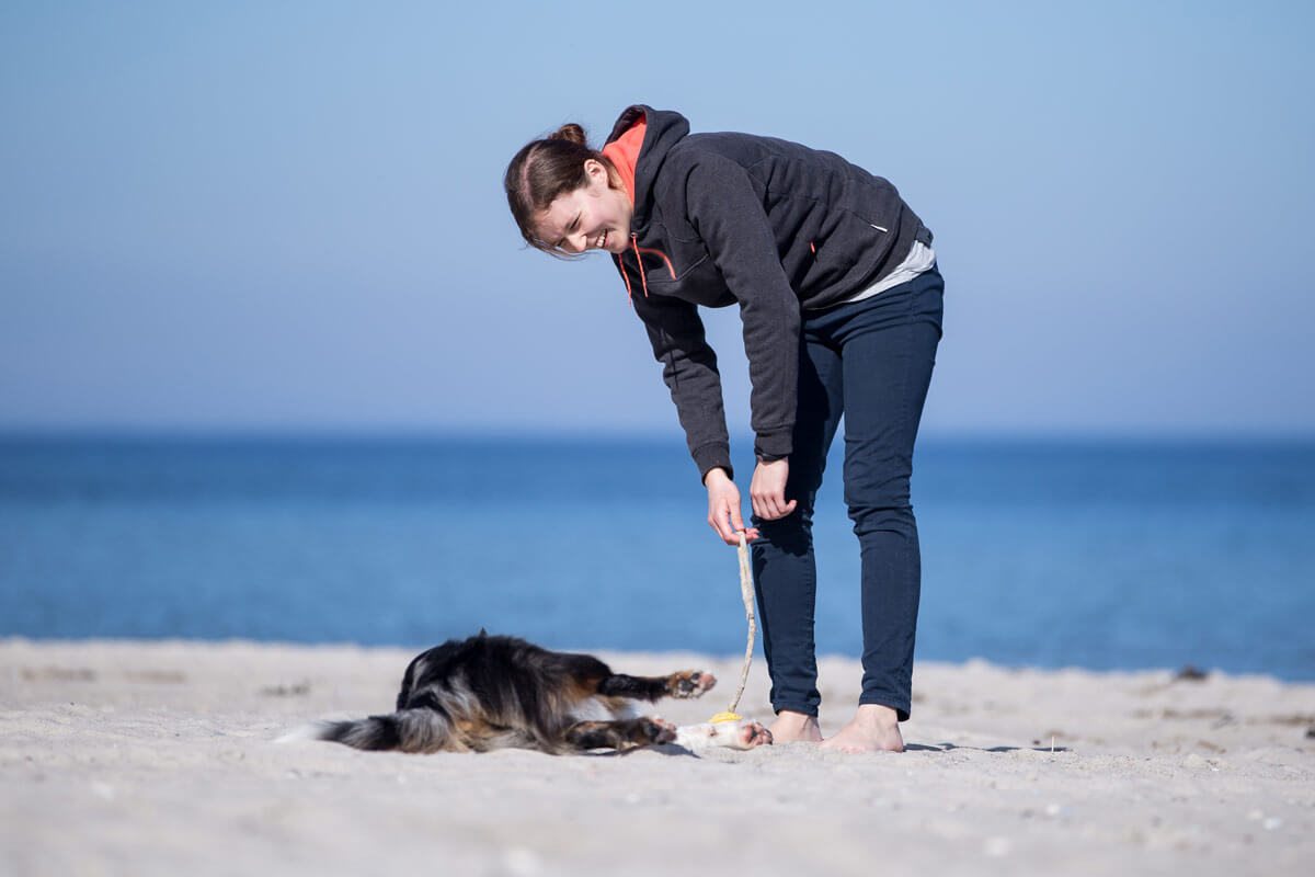 Tierfotografin | Würzburg Hunde Kalender | Yasemin Ikibas