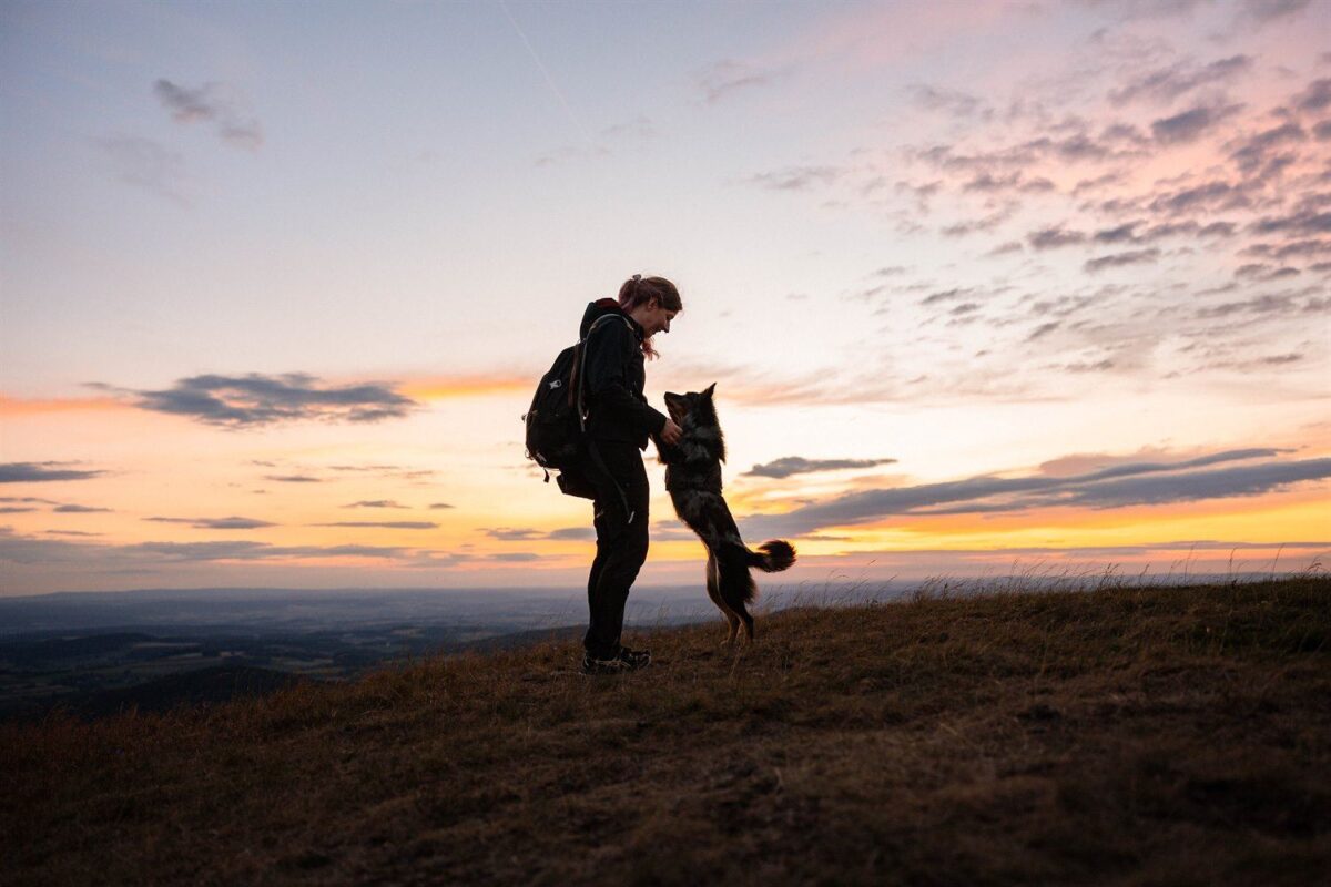 Mensch und Hund genießen den Sonnenuntergang auf der Wasserkuppe während eines Hundefotoshootings in der Rhön