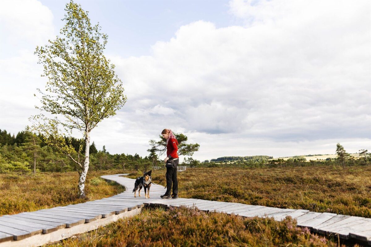 Mensch und Hund erkunden gemeinsam das Schwarze Moor während einer Fotowanderung in der Rhön
