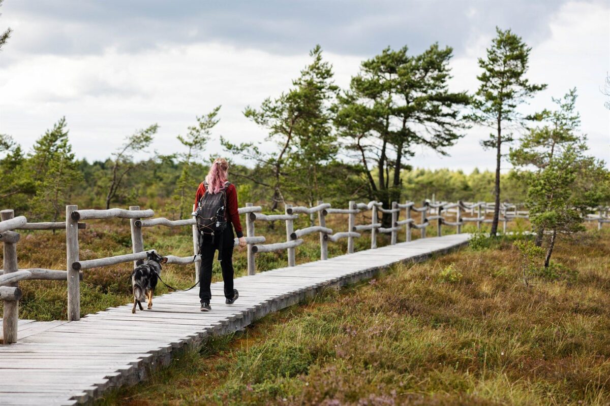 Mensch und Hund bei einem Fotoshooting im Schwarzen Moor in der Rhön
