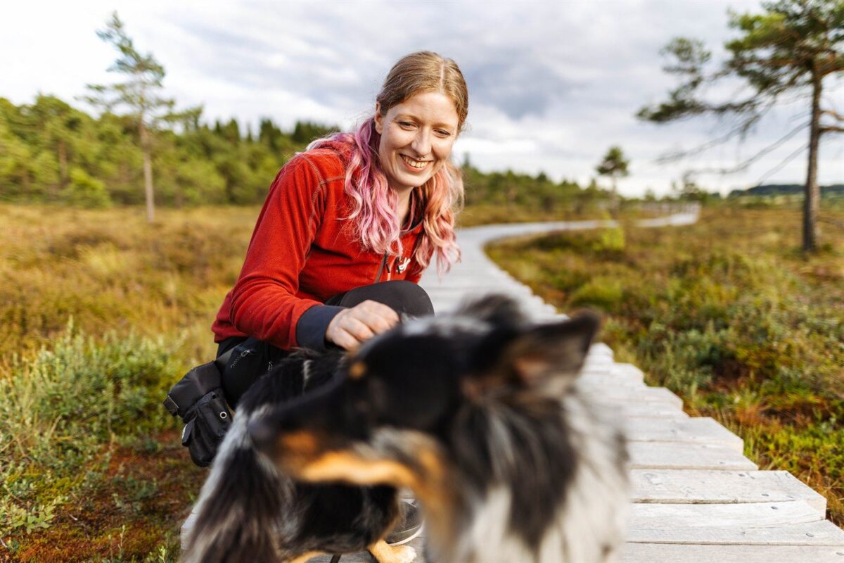 Tierfotoshooting in der Rhön