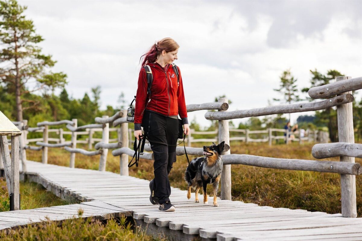 Wanderungen mit Hund in der Rhön