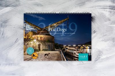 Der Wü Dogs 2019 Spenden Kalender