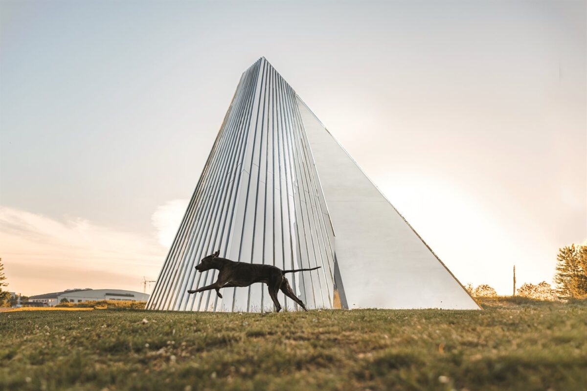 Weimaraner Franz läuft vor der modernen Trinitatis-Kirche in Würzburg - Foto aus dem Wü-Dogs Hundekalender 2026