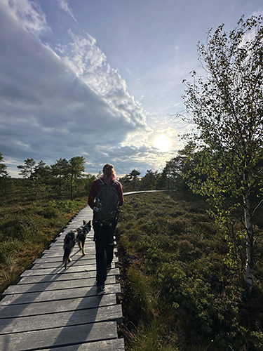 Making-of Wü-Dogs Hundekalender 2026 – Hundefotografie in der Rhön, Bayern